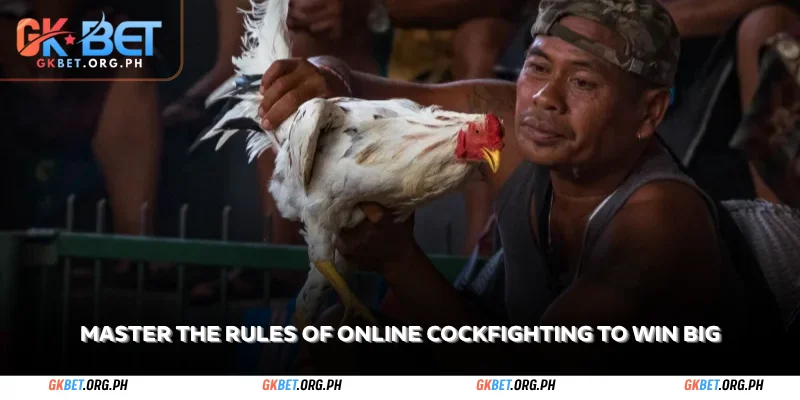 master the rules of online cockfighting to win big